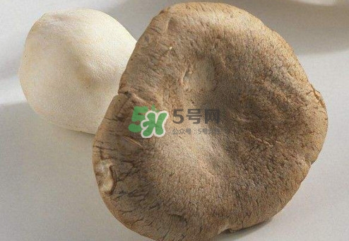 杏鮑菇用水焯嗎？杏鮑菇怎么做好吃