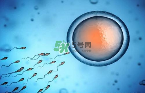 精子在女性體內(nèi)可以存活多久？男性的精子會(huì)枯竭嗎？