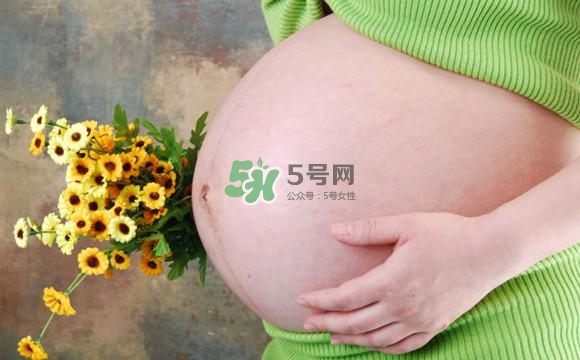 為什么孕婦的肚子有尖有圓？孕婦肚子尖圓對照圖