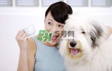 孕婦能養(yǎng)狗嗎？孕婦養(yǎng)狗注意事項(xiàng)