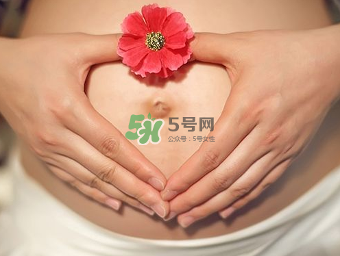 秋天孕婦可以吃絲瓜嗎？秋天孕婦吃絲瓜好嗎？