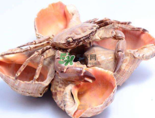 螃蟹殼里的東西是什么？螃蟹殼里什么不能吃？