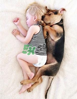 孕婦能養(yǎng)狗嗎？孕婦養(yǎng)狗注意事項(xiàng)