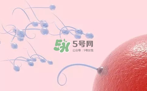 精子在女性體內(nèi)可以存活多久？男性的精子會(huì)枯竭嗎？