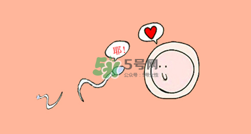 精子在女性體內(nèi)可以存活多久？男性的精子會(huì)枯竭嗎？