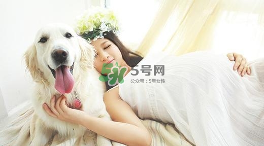 孕婦不能養(yǎng)寵物嗎？為什么孕婦不能養(yǎng)寵物？