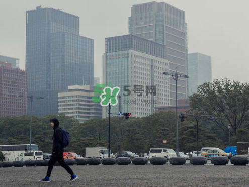 citera是什么牌子？citera是什么檔次？
