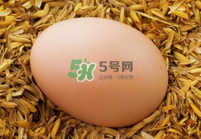 芝麻醬和雞蛋能一起吃嗎？雞蛋可以和芝麻醬一起吃嗎