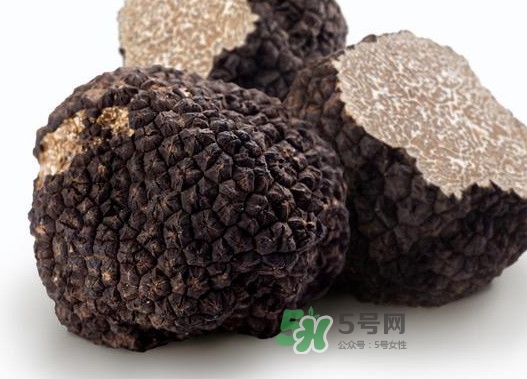 松露是什么樣子的？松露是怎么形成的