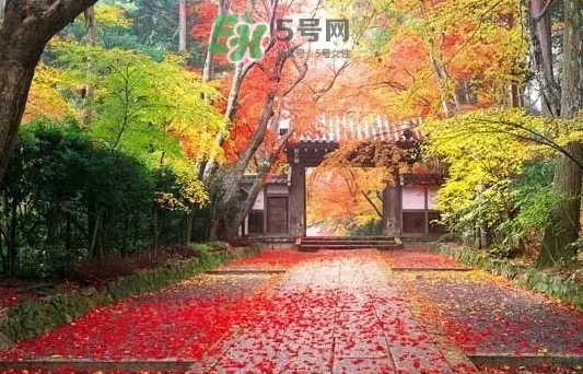 白露是寒露嗎？白露和寒露的區(qū)別