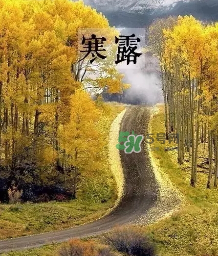 白露是寒露嗎？白露和寒露的區(qū)別