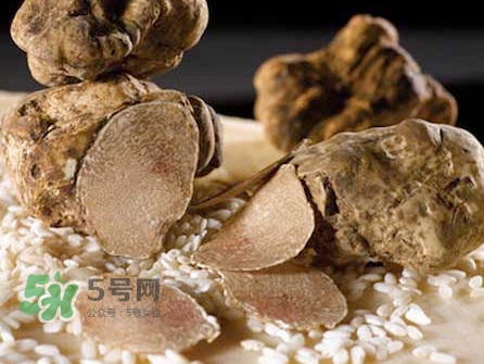 松露為什么那么貴？松露為什么這么貴？