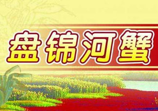 盤(pán)錦河蟹批發(fā)市場(chǎng)在哪？盤(pán)錦河蟹哪里最正宗？