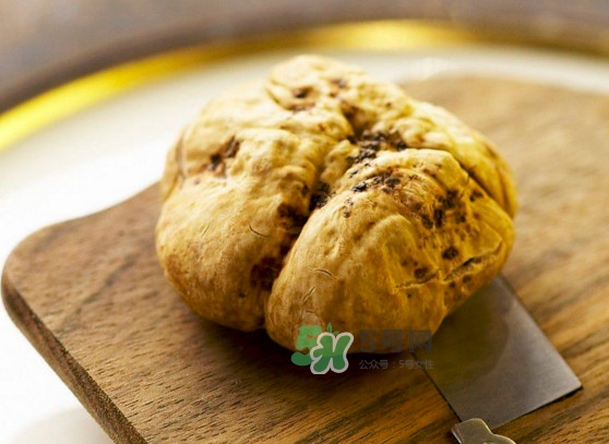 松露是什么味道？松露到底有多好吃