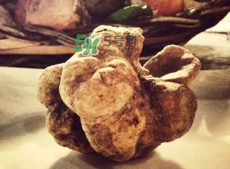 世界上評(píng)價(jià)較高的松露品種是什么？白松露和黑松露哪個(gè)好