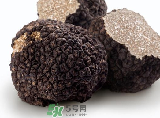 松露產(chǎn)地在哪里？松露有什么作用