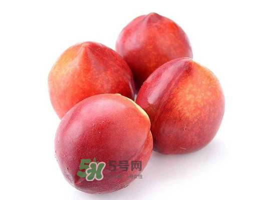 九月份還有桃子嗎？9月份成熟的桃子有幾種？