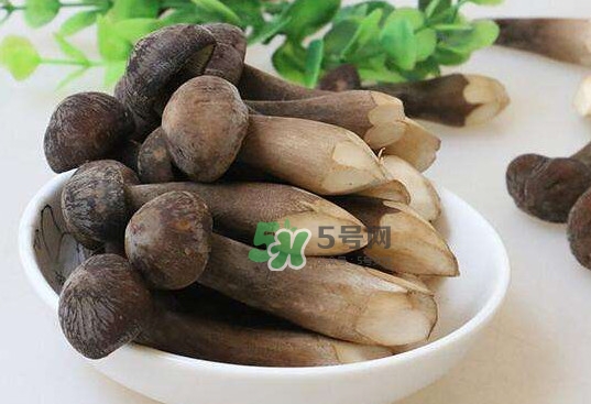雞樅菌和松茸哪個更好？雞樅菌有什么營養(yǎng)