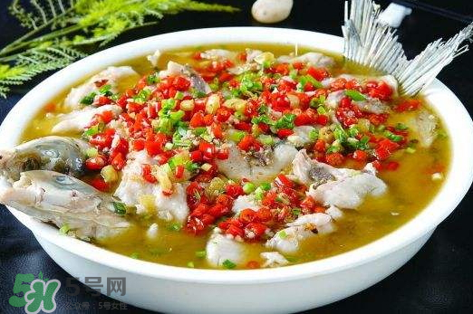 鯉魚可以做水煮魚嗎？水煮鯉魚的做法