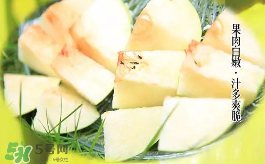 綠寶石梨多少錢一斤？綠寶石梨價(jià)格表