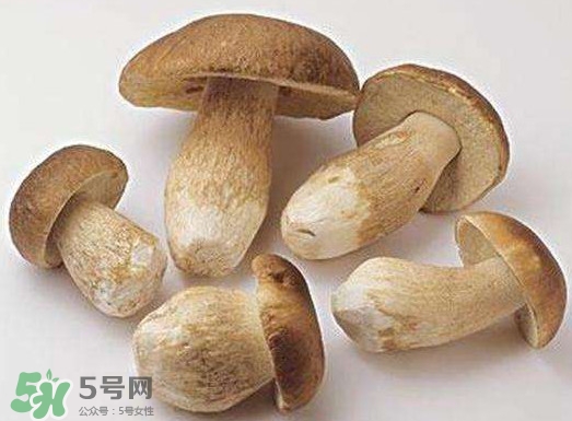 牛肝菌要泡發(fā)多久？牛肝菌怎么清洗