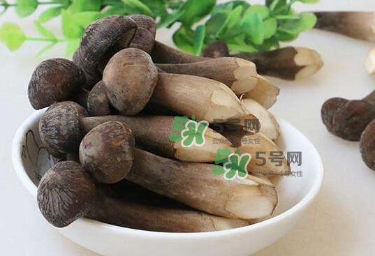 雞樅菌多少錢一斤？干雞樅菌多少錢一斤