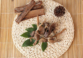 雞樅菌和松茸哪個更好？雞樅菌有什么營養(yǎng)