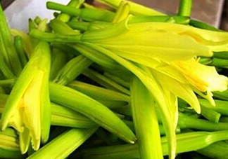 黃花菜開花了還能吃嗎？開花的黃花菜可以吃嗎