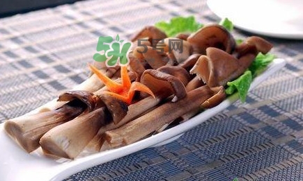 雞樅菌和松茸哪個更好？雞樅菌有什么營養(yǎng)