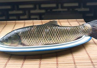 黑魚可以清蒸嗎？黑魚蒸多久？