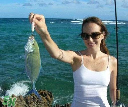 9月份釣什么魚？9月份釣草魚嗎？
