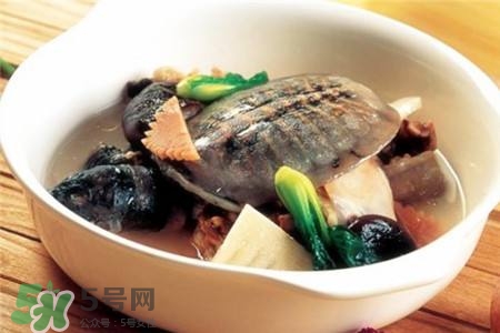 產(chǎn)婦能吃甲魚(yú)嗎？產(chǎn)婦能吃甲魚(yú)湯嗎？