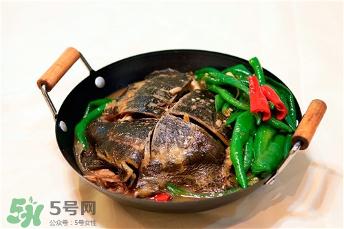 甲魚湯是涼性的嗎？甲魚湯的禁忌人群