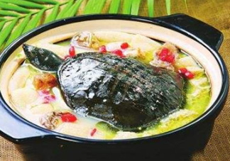 甲魚湯下奶嗎？下奶的食物有哪些？
