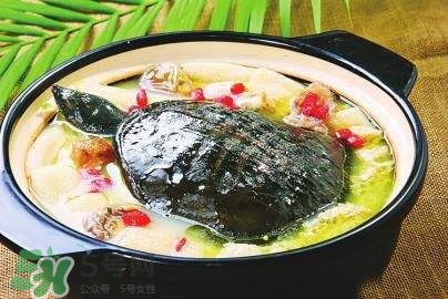 甲魚湯下奶嗎？下奶的食物有哪些？