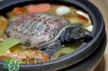 產(chǎn)婦能吃甲魚(yú)嗎？產(chǎn)婦能吃甲魚(yú)湯嗎？