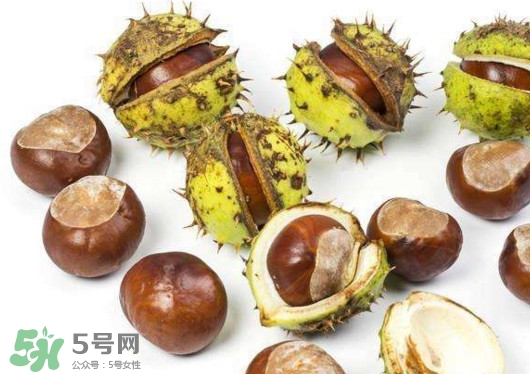 板栗殼怎么好剝？怎樣剝板栗殼最快