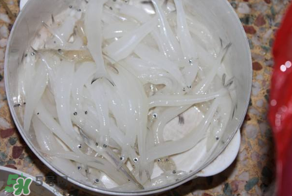 大銀魚多少錢一斤？大銀魚怎么洗？