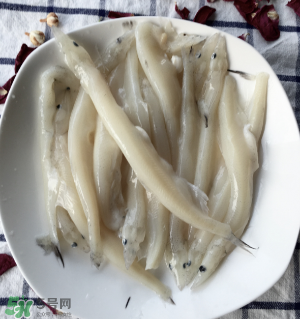 大銀魚多少錢一斤？大銀魚怎么洗？