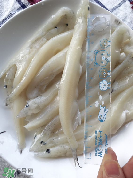 大銀魚多少錢一斤？大銀魚怎么洗？