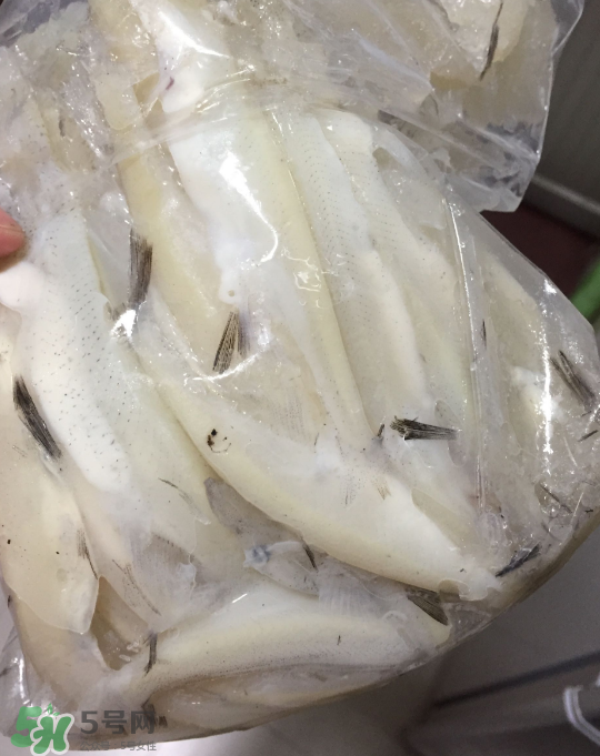 銀魚可以煲粥嗎？銀魚可以包餃子嗎？