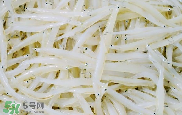銀魚可以煲粥嗎？銀魚可以包餃子嗎？