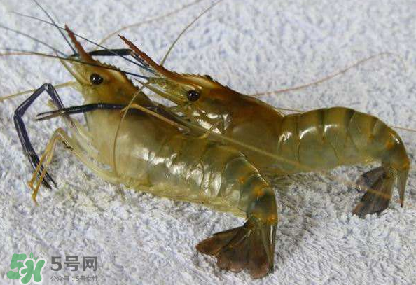 河蝦是酸性還是堿性？河蝦是涼性還是熱性？