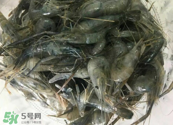 河蝦是基圍蝦嗎？河蝦是辛辣食物嗎？