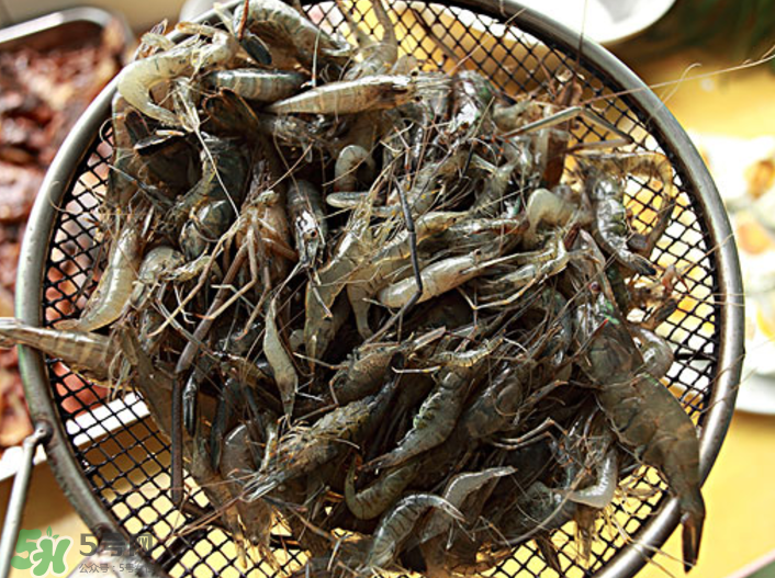 河蝦可以吃頭嗎？蝦頭到底能不能吃？