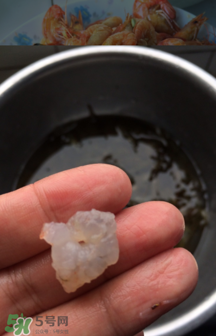 河蝦可以放冰箱嗎？河蝦在冰箱能放幾天？