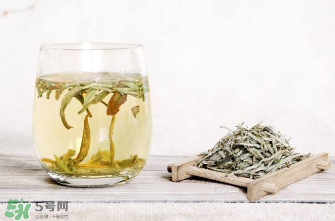 白毫銀針屬于綠茶嗎？白毫銀針是什么茶？