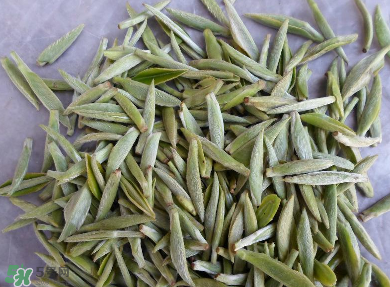 白毫銀針屬于綠茶嗎？白毫銀針是什么茶？