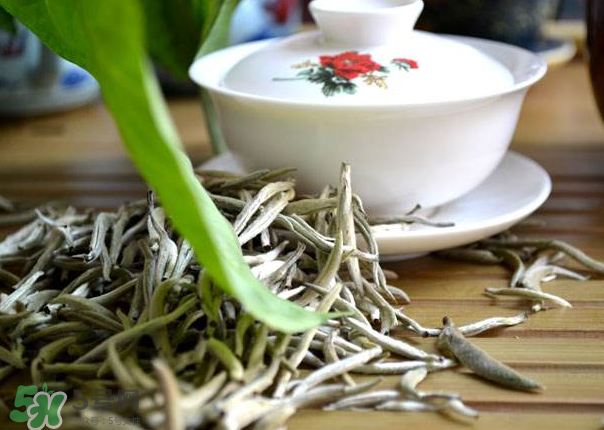 白茶需要洗茶嗎？白茶是洗還是不洗？
