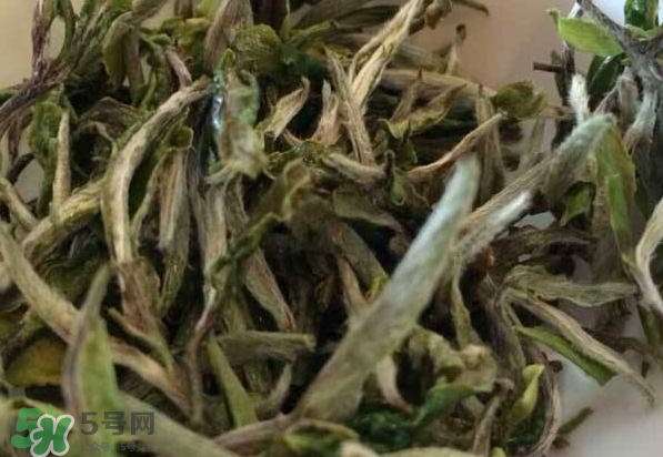 白茶需要洗茶嗎？白茶是洗還是不洗？